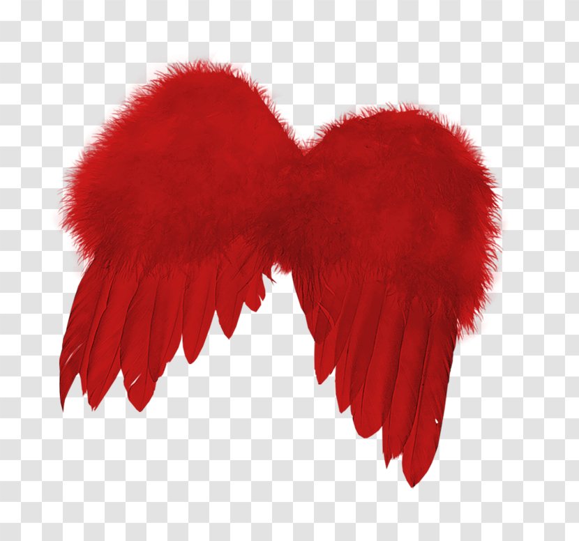 Wing Clip Art - Red By Sfr - Fur Transparent PNG