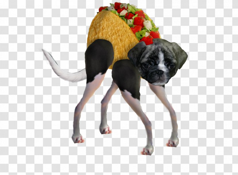 Taco Doge Puppy - Leash Transparent PNG