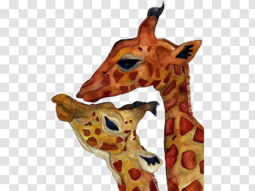 Baby Giraffes Northern Giraffe Reticulated Animal - Organism - Fauna Transparent PNG