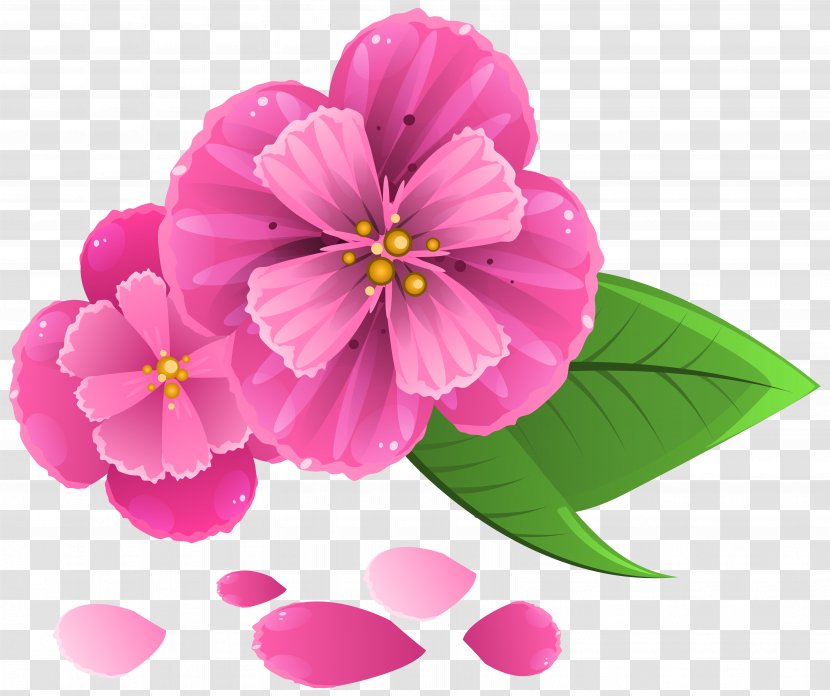 Pink Flowers Petal Clip Art Transparent PNG