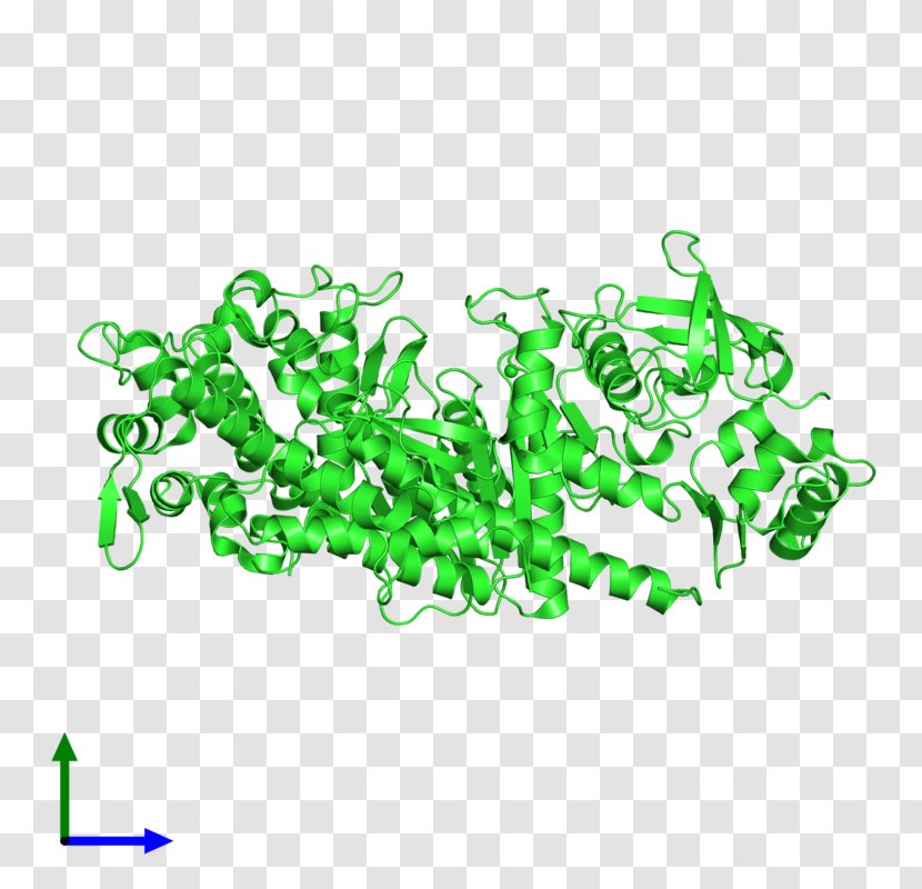 Logo Product Font Line - Organism - Grass Transparent PNG