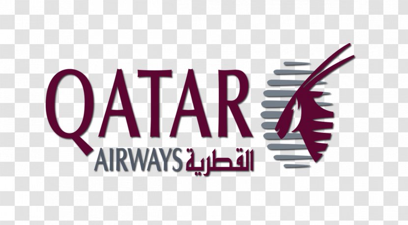 Doha Qatar Airways Charles De Gaulle Airport Airline Business Class - Economy - Travel Transparent PNG