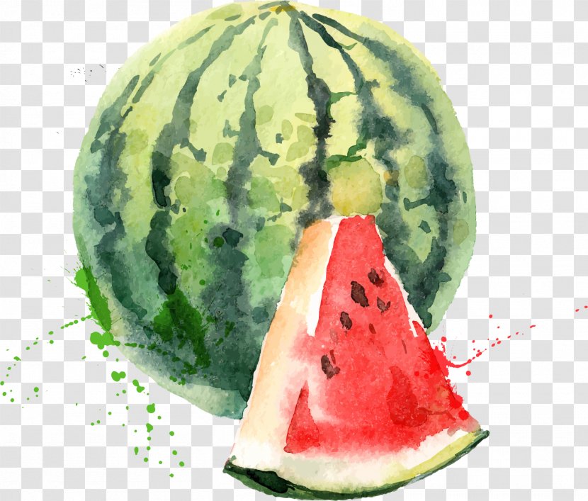 Watermelon - Illustrator Transparent PNG