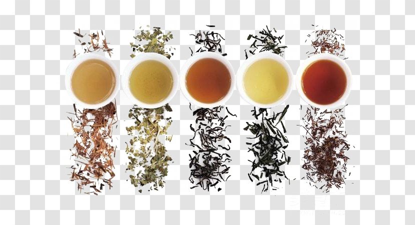 Green Tea White Oolong Yum Cha - Five Different Colors Of And Transparent PNG