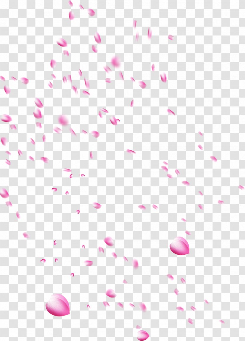 Petal Download Pink - Beautiful Petals Falling Transparent PNG