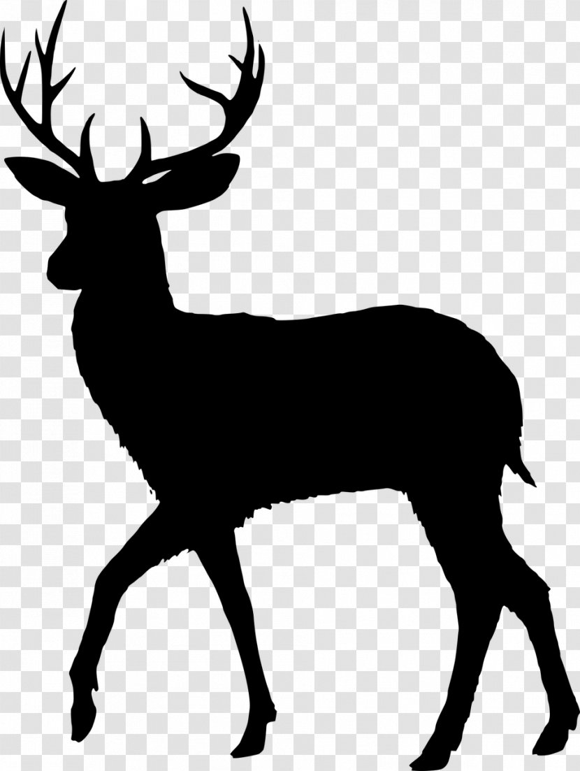 Fallow Deer Vector Graphics Reindeer Silhouette - Chamois - Fawn Whitetailed Transparent PNG