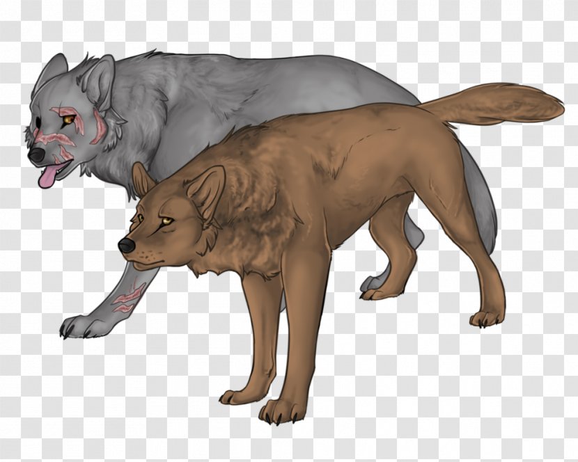 White Fang The Call Of Wild Animal German Shepherd - Drawing - Beaver Transparent PNG