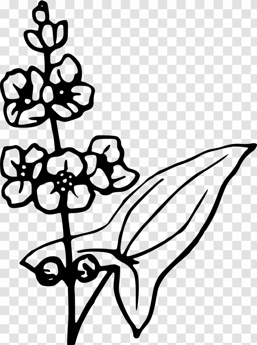 Floral Design Visual Arts Leaf - Flora - Osmanthus Flower Transparent PNG