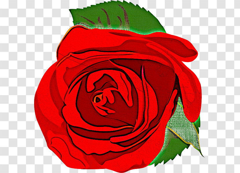 One Flower One Rose Valentines Day Transparent PNG
