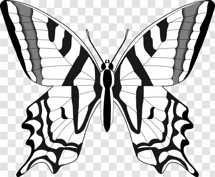Butterfly Black And White Clip Art - Monochrome Photography Transparent PNG