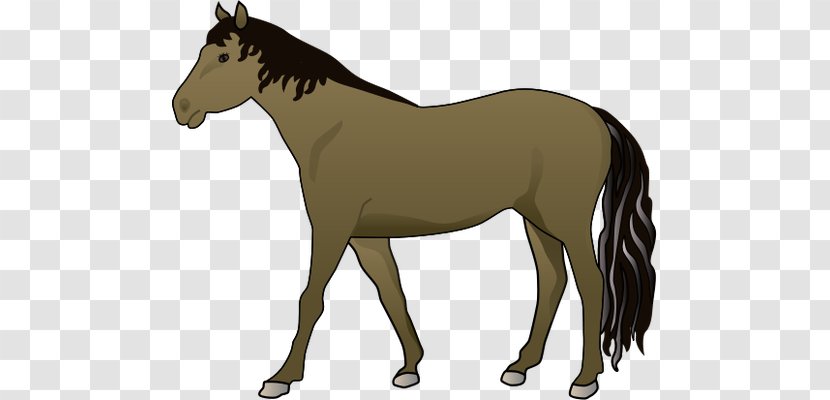 Mustang Mule Wild Horse Illustration - Like Mammal - Illustrations Transparent PNG