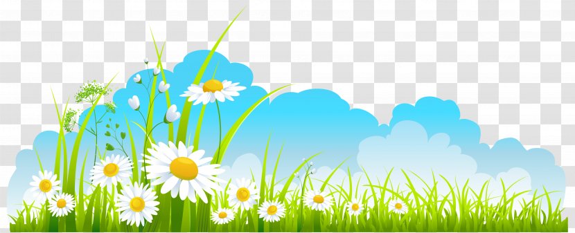 Spring Clip Art - Flower - Decor Sky Grass And Camomile Clipart Transparent PNG