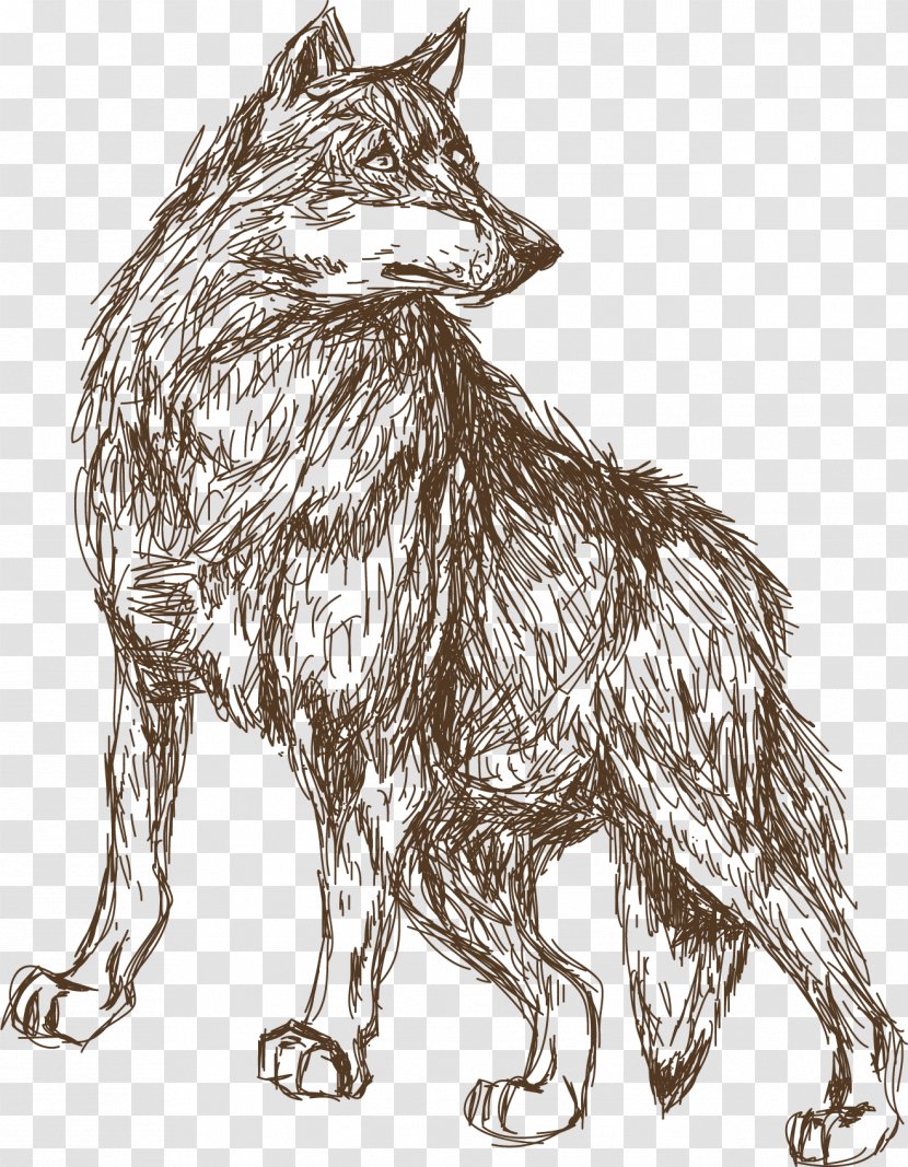 Leopard Animal Croquis Illustration - Art - Wolf Sketch Transparent PNG