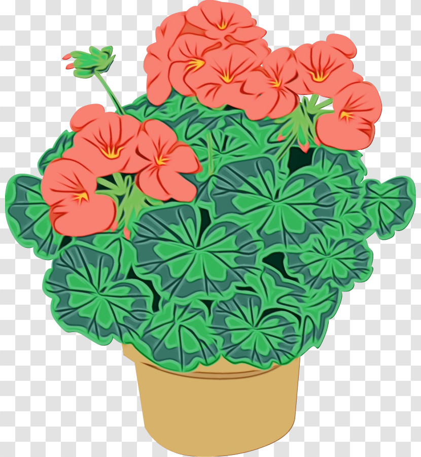 Flower Plant Flowerpot Petal Impatiens Transparent PNG