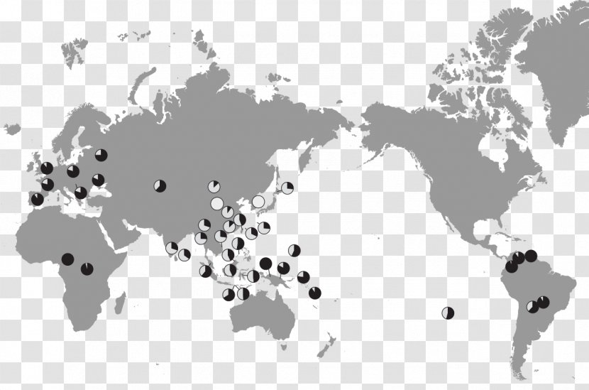 Globe World Map Miller Cylindrical Projection - Equirectangular Transparent PNG