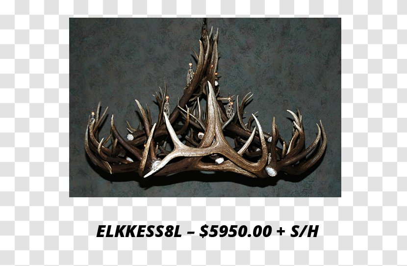 Antler Elk Deer Horn Chandelier Transparent PNG