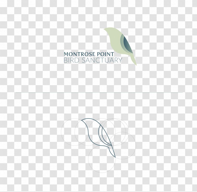 Logo Feather Green Font - Brand - Profusion Transparent PNG