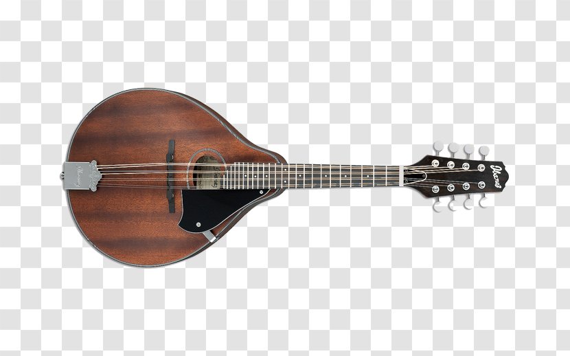 Tiple Mandolin Acoustic Guitar Ukulele Bass - Watercolor Transparent PNG