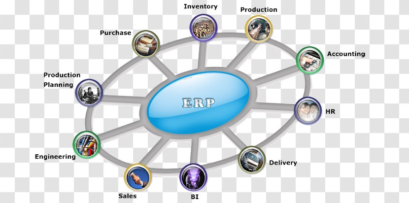 Enterprise Resource Planning Cloud Computing SAP SE Business Computer Software - Systems Analyst Transparent PNG