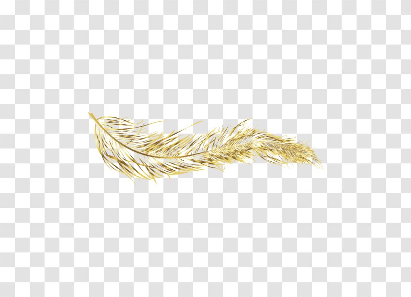 Feather Gold - Golden Transparent PNG