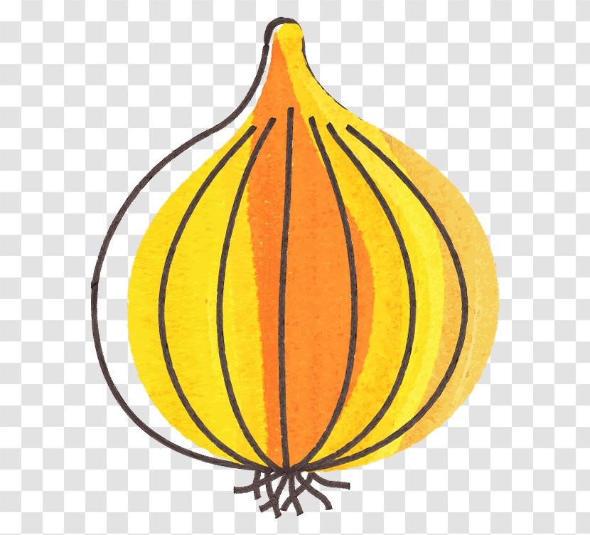 Garlic Pumpkin Download - Spice Transparent PNG