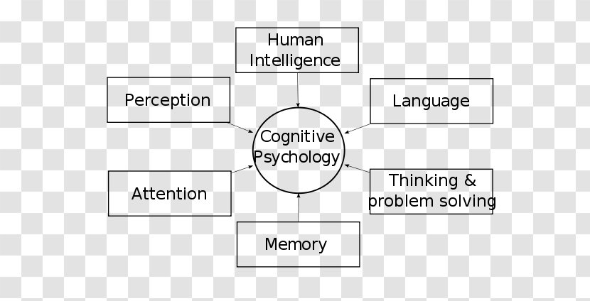 Cognitive Psychology Cognition Behaviorism Mental Process - Mind - Behavior Transparent PNG