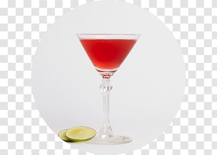Bacardi Cocktail Cosmopolitan Martini Daiquiri - Woo - Cranberry Transparent PNG