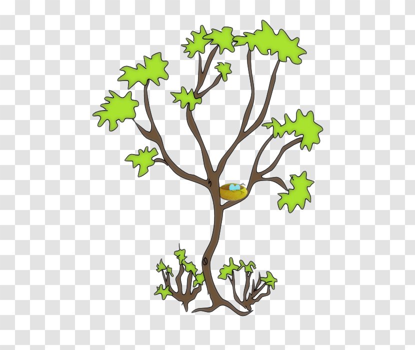Twig Green Clip Art - Woody Plant - Tree Transparent PNG