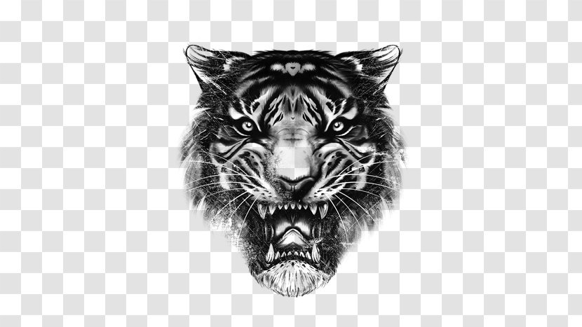 Drawing Tiger Roar Lion - Monochrome Transparent PNG