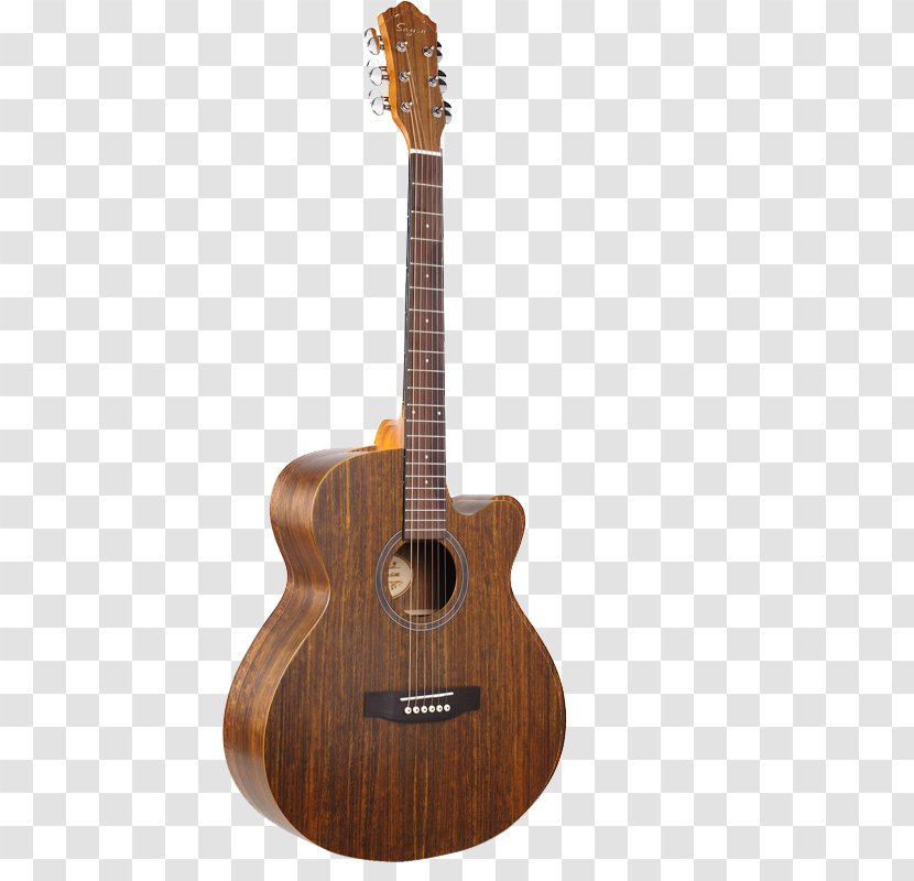 Acoustic Guitar Acoustic-electric Tiple Bass - Tree - Real Wood Products Transparent PNG
