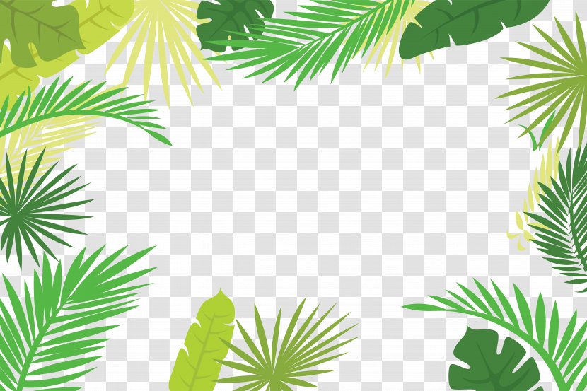 Arecaceae Text Branch Leaf Illustration - Flora - Palm Border Transparent PNG