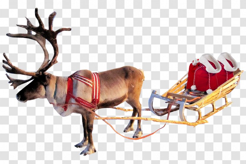 Reindeer Santa Claus Clip Art Transparency - Christmas Tree Transparent PNG