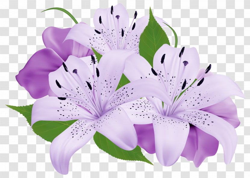 Flower Purple Clip Art - Color - Exotic Flowers Clipart Image Transparent PNG
