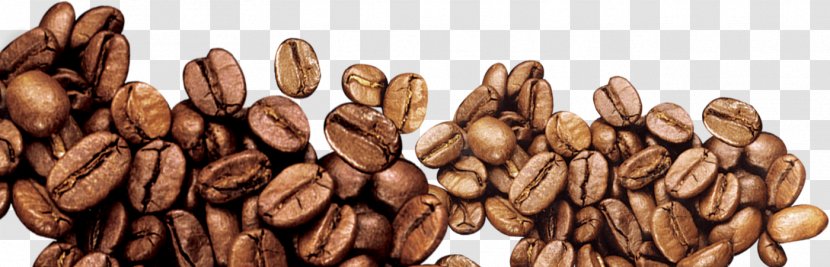 Coffee Bean Iced - Superfood - Beans Transparent PNG