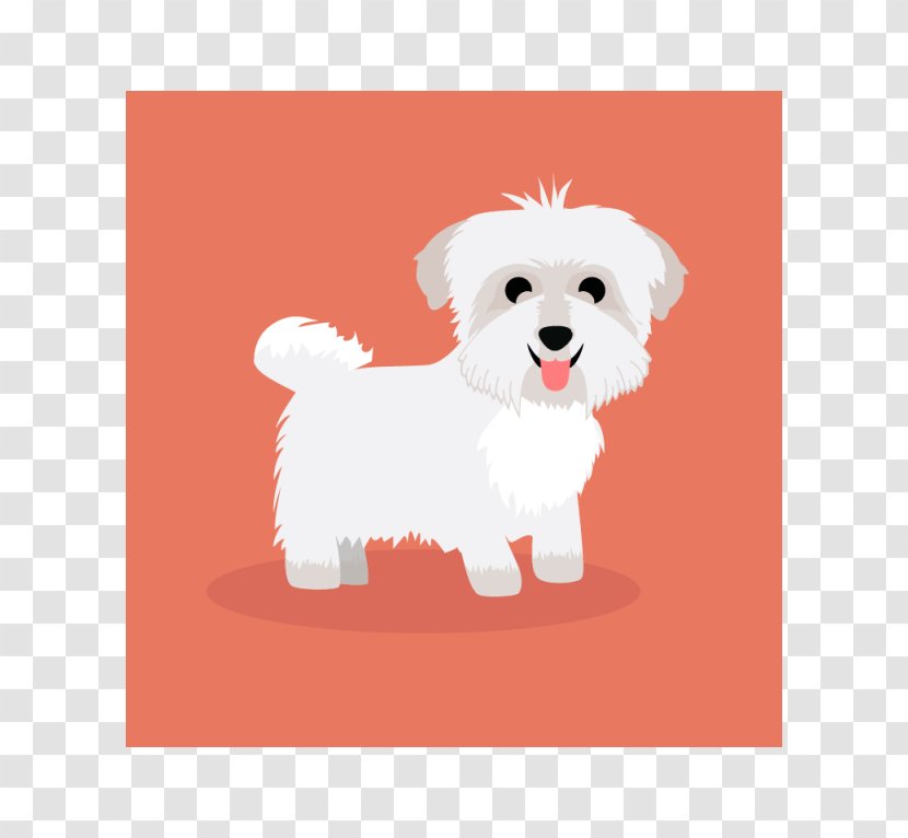 Maltese Dog Havanese Puppy Breed Companion Transparent PNG