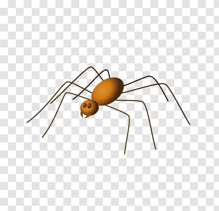 Spider Arachne Clip Art - Arthropod Transparent PNG