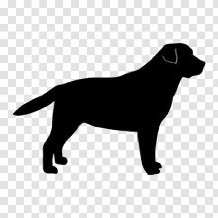 Labrador Retriever Golden Dog Breed Silhouette - Group Transparent PNG