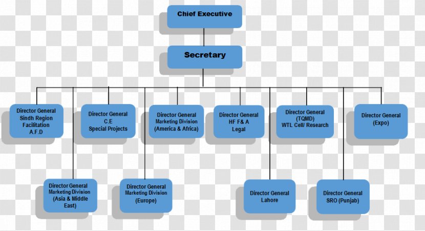 Organizational Chart Structure Diagram Industry - Communication - Travel Agency Transparent PNG