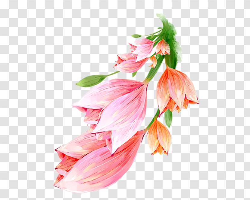 Flower Watercolor Painting Photography - Hand-painted Lily Transparent PNG