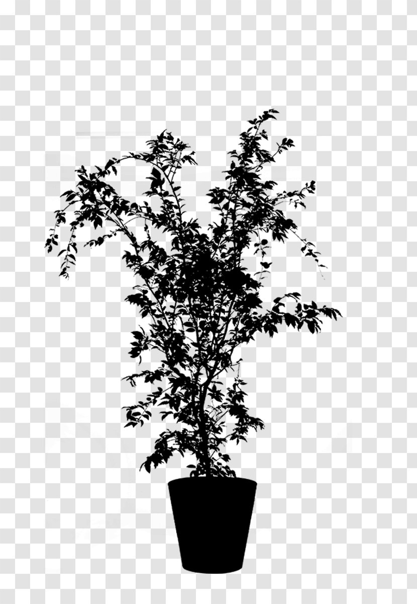 Flowerpot Houseplant Flowering Plant Plants - Branch Transparent PNG