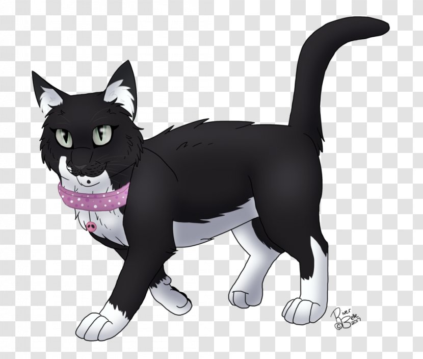 Whiskers Dog Breed Black Cat - Group Transparent PNG