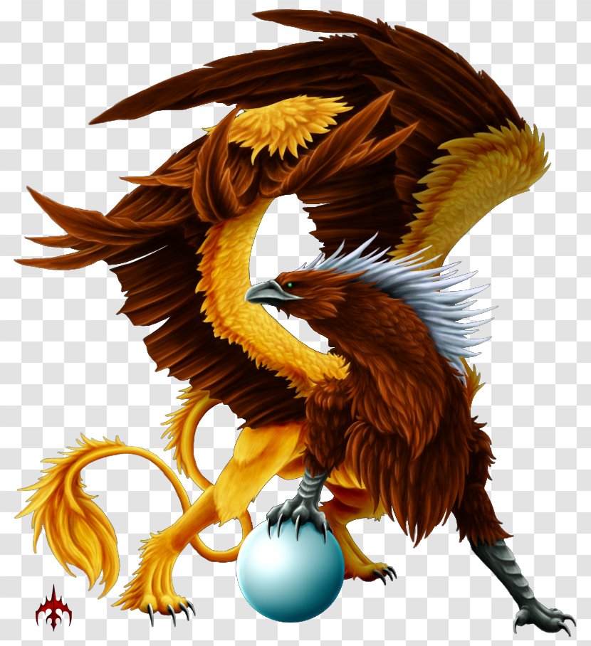 Griffin Eagle Legendary Creature Dragon Lion - Bird Of Prey - Creatures Transparent PNG