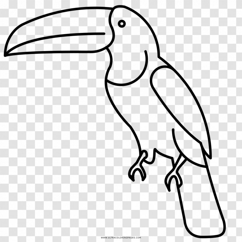 Beak Bird Drawing Toucan Coloring Book - Monochrome Transparent PNG