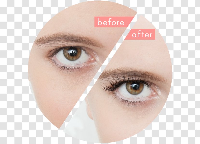 Eyelash Extensions Eye Shadow Liner - Artificial Hair Integrations Transparent PNG