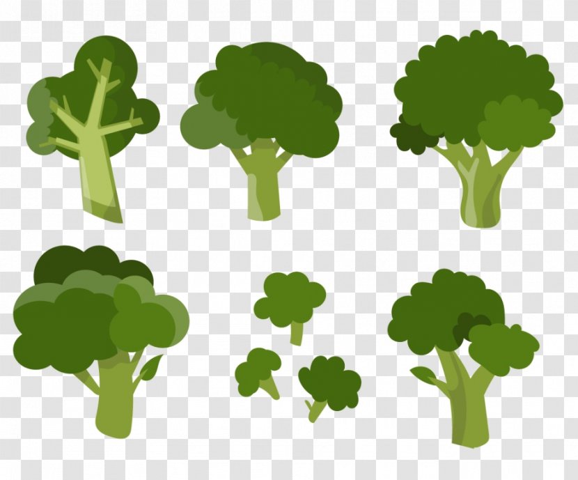 Broccoli Vegetable Clip Art - Grass - Vector Transparent PNG