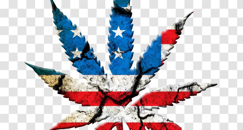 United States Of America Legality Cannabis Medical Legalization Transparent PNG