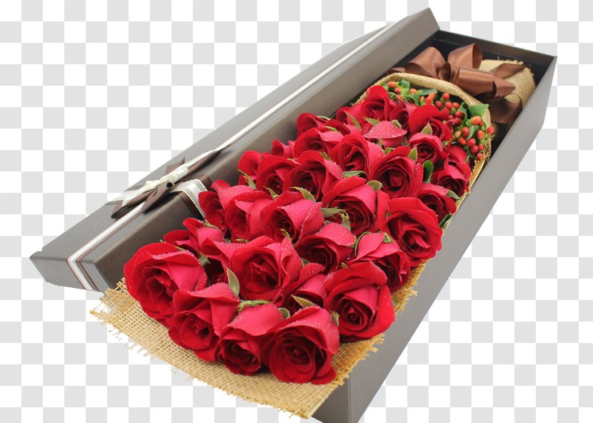 Beach Rose Gift Gratis Computer File - Floral Design Transparent PNG