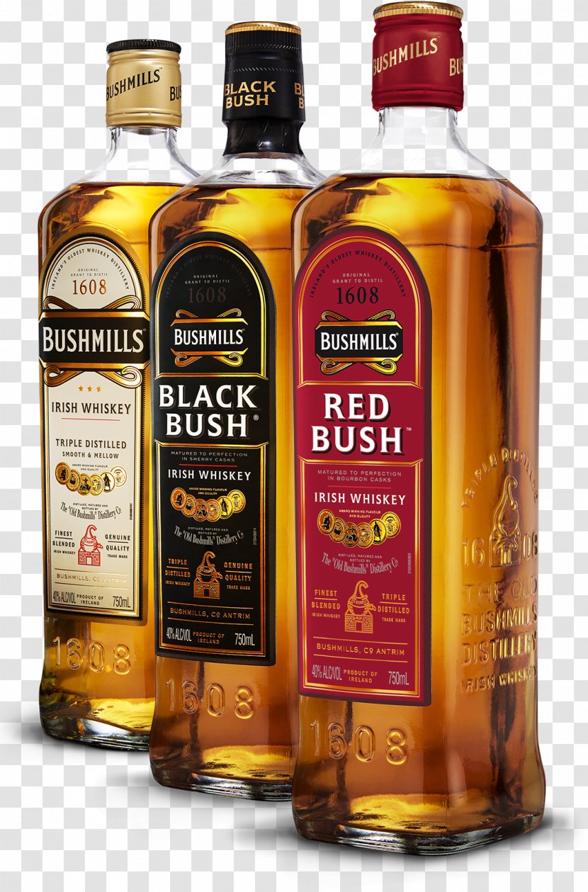 Scotch Whisky Old Bushmills Distillery Irish Whiskey Distilled Beverage - Drink Transparent PNG
