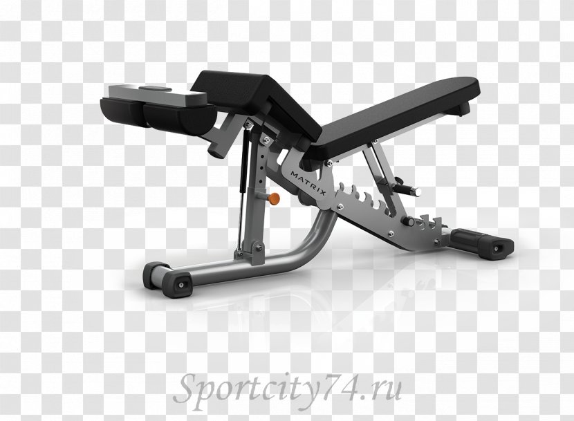 Bench Press Physical Fitness Exercise Weightlifting Machine - Bodybuilding Transparent PNG