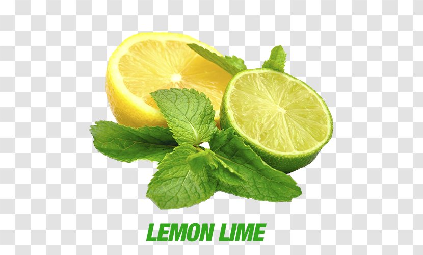 Lemon-lime Drink Juice Odor - Lemonlime Transparent PNG
